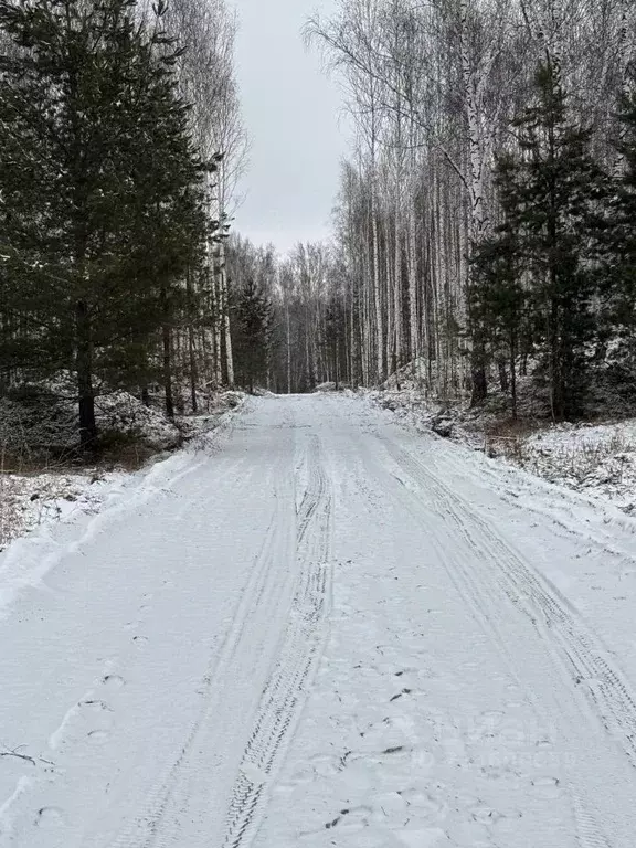 Дом в Новосибирская область, Новосибирский район, Морской сельсовет, ... - Фото 0