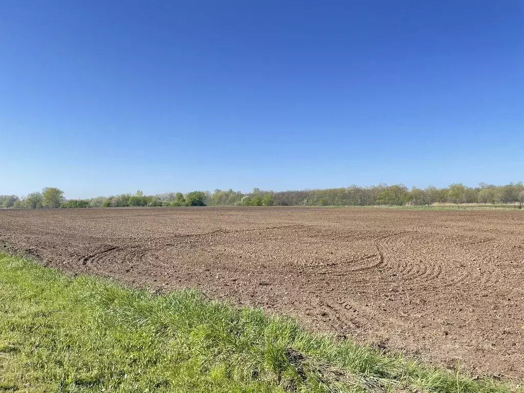 Участок в Краснодарский край, Курганинский район, Родниковское с/пос, ... - Фото 1