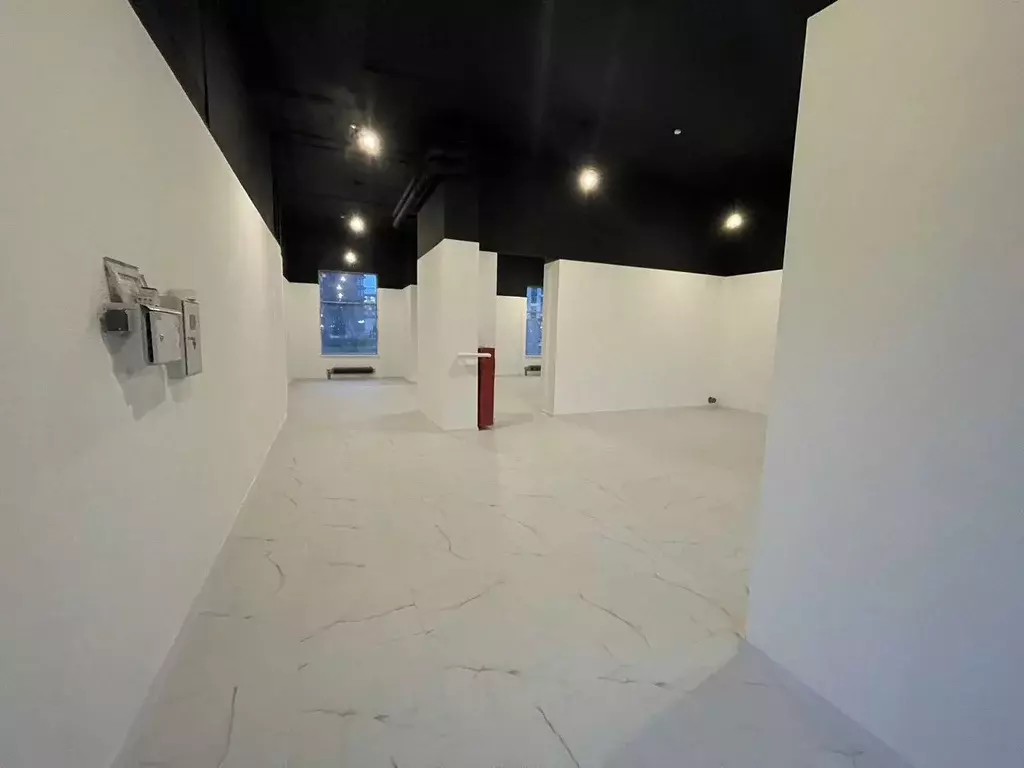 Помещение свободного назначения в Москва Люблинская ул., 72Ак2 (80 м) - Фото 2