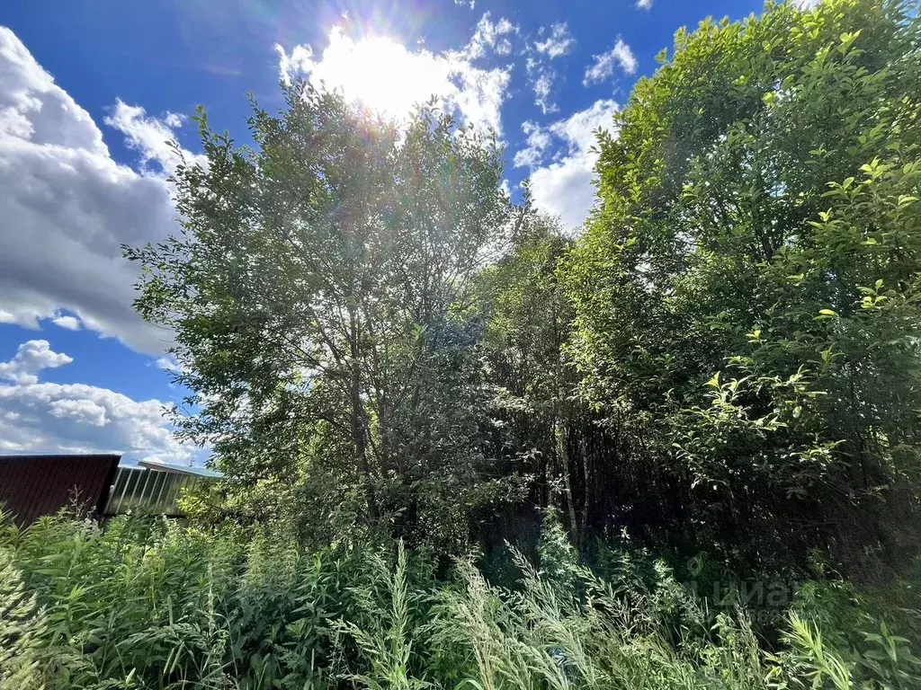 Участок в Калужская область, Жуковский район, Верховье с/пос, д. ... - Фото 2