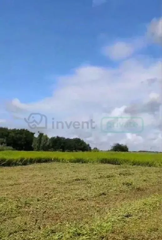 Участок в Калининградская область, Зеленоградск Железнодорожная ул. ... - Фото 0
