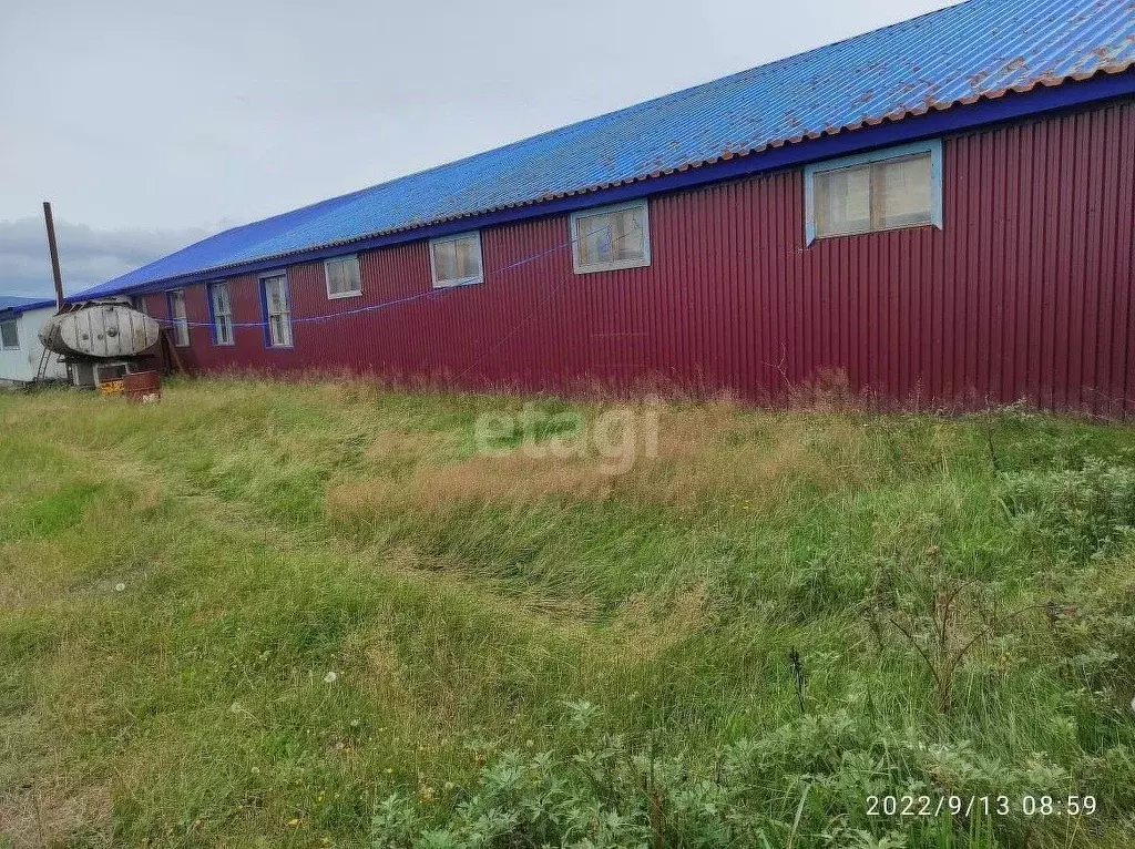 Помещение свободного назначения в Сахалинская область, Курильск ... - Фото 1