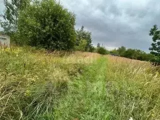 Участок в Удмуртия, Завьяловский район, Соловушки ДНТ ул. Тенистая, 29 ... - Фото 0