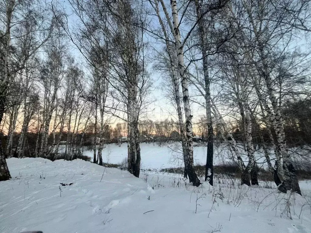 Участок в Новосибирская область, Новосибирск Орловская ул. (5.7 сот.) - Фото 2