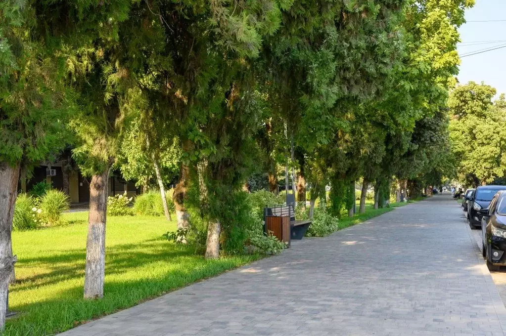 Офис в Краснодарский край, Краснодар Сормовская ул. (52 м) - Фото 2