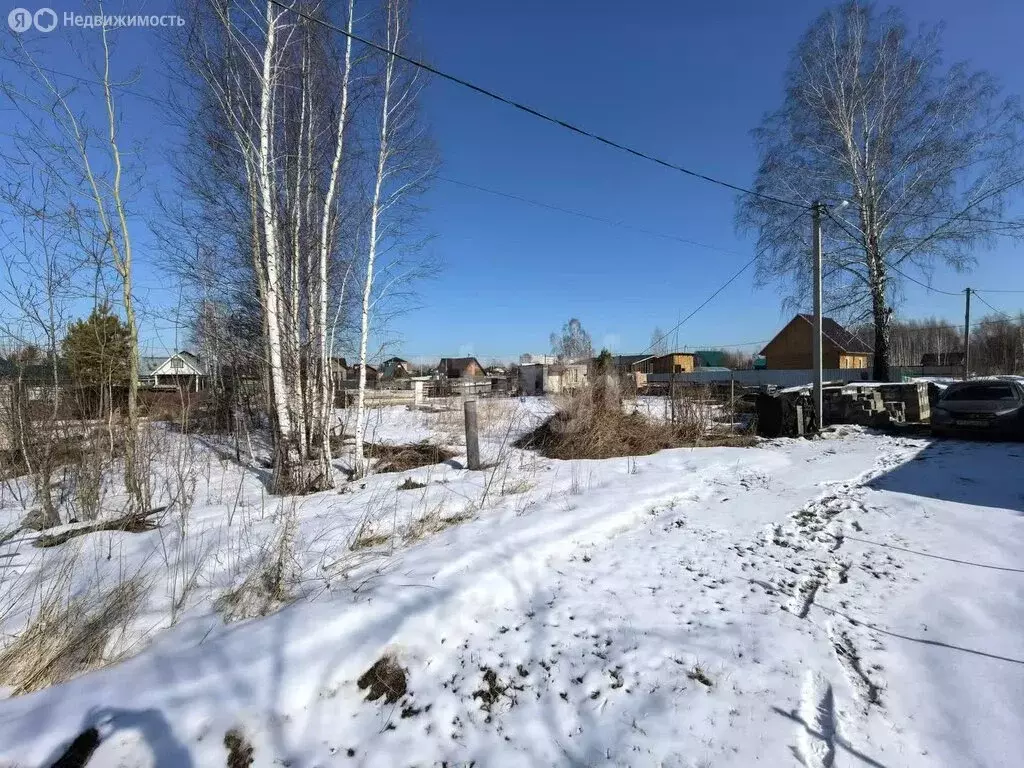 Участок в Новосибирск, СТ Пашинская Заря (5.3 м) - Фото 0