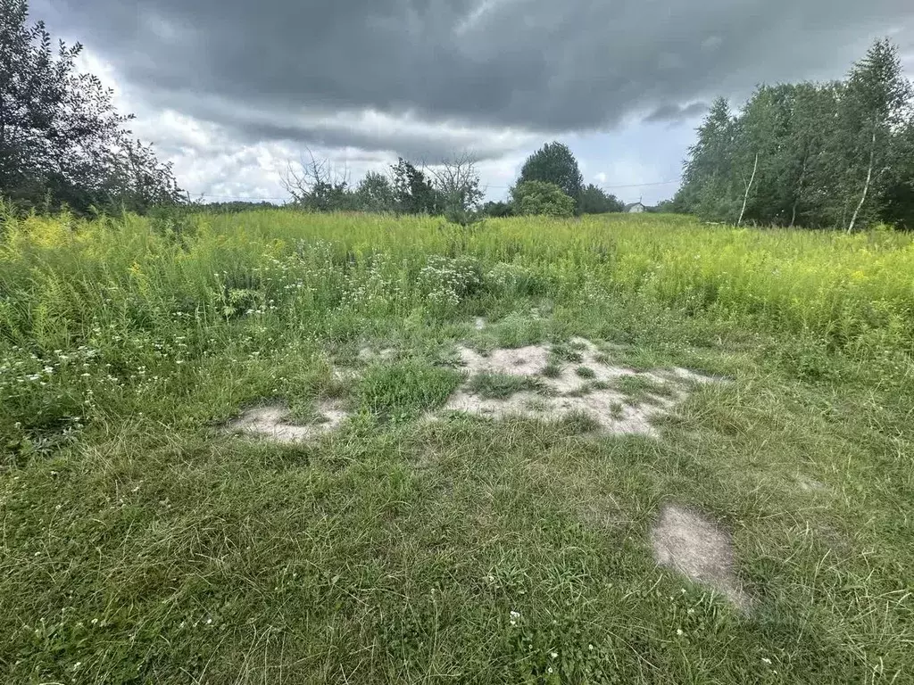 Участок в Брянская область, Брянский район, Мичуринское с/пос, Заря ... - Фото 2