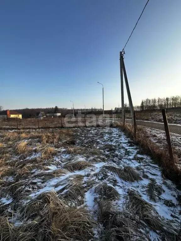 Участок в Москва д. Чернецкое, 49 (5.0 сот.) - Фото 1