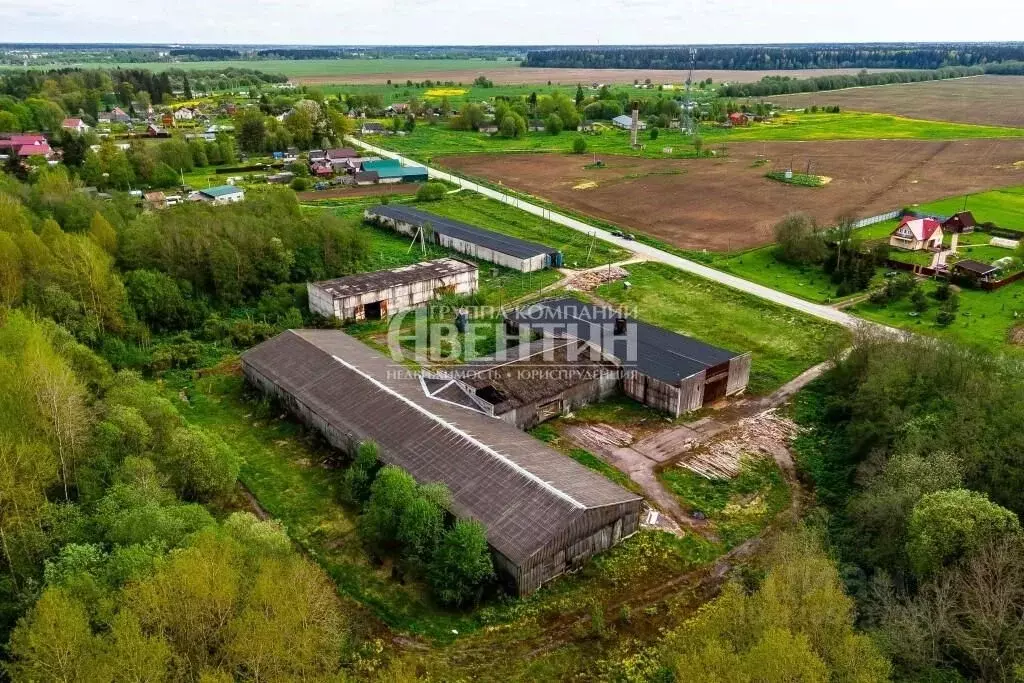 Помещение свободного назначения в Ленинградская область, Волосовский ... - Фото 2