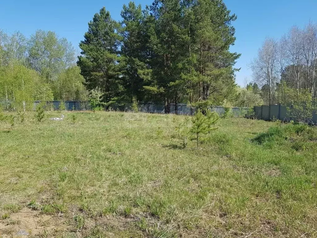 Участок в Свердловская область, Белоярский муниципальный округ, д. ... - Фото 1