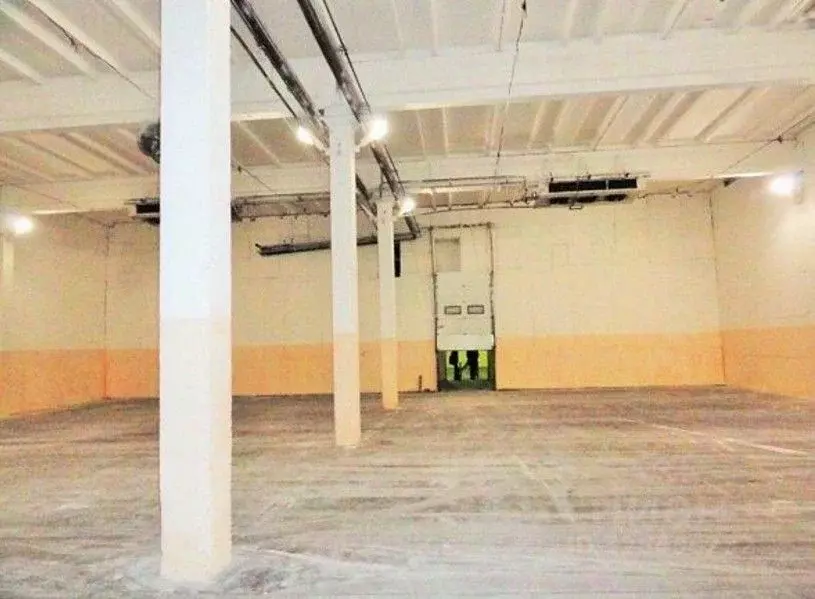 Склад в Ленинградская область, Гатчинский муниципальный округ, пос. ... - Фото 2