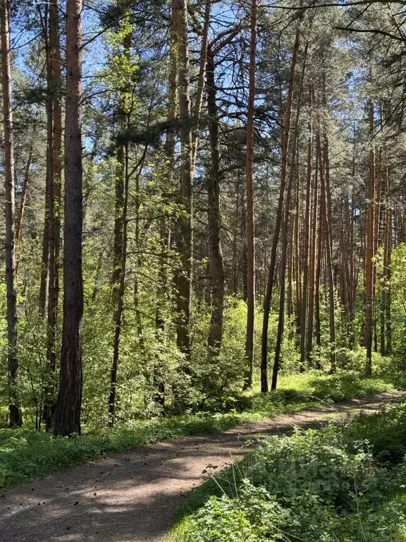 Участок в Московская область, Серпухов городской округ, д. Борисово  ... - Фото 0