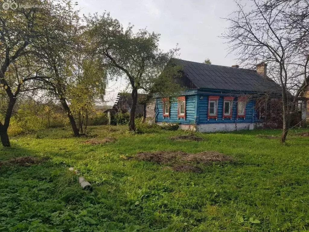 Дом в деревня Теряево 1-е, улица Карла Маркса, 22 (45 м) - Фото 1