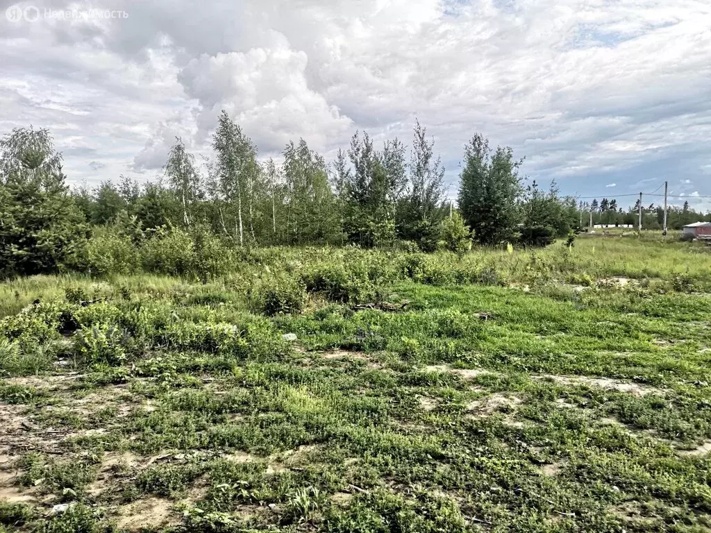 Дом в Медовка, улица Пилота Нестерова, 70 (150 м) - Фото 0