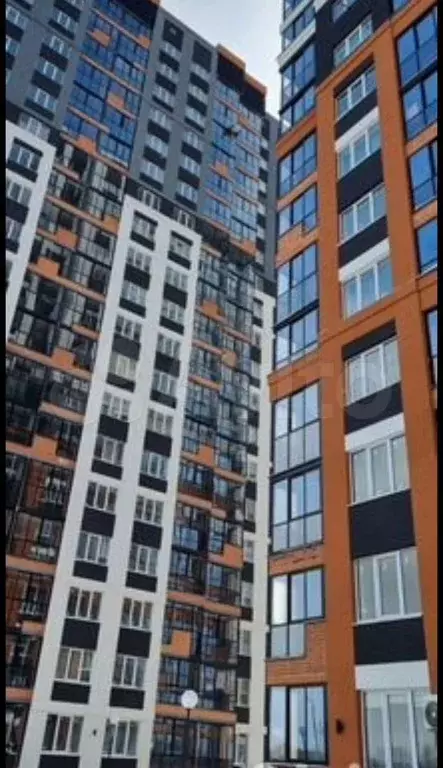 1-к. квартира, 32,5 м, 5/17 эт. - Фото 0