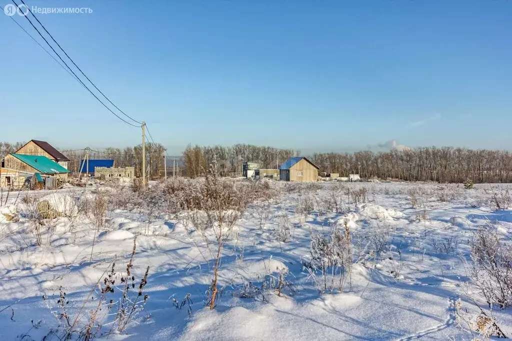 Участок в село Лебедёвка, коттеджный посёлок Молодёжный (5.9 м) - Фото 0