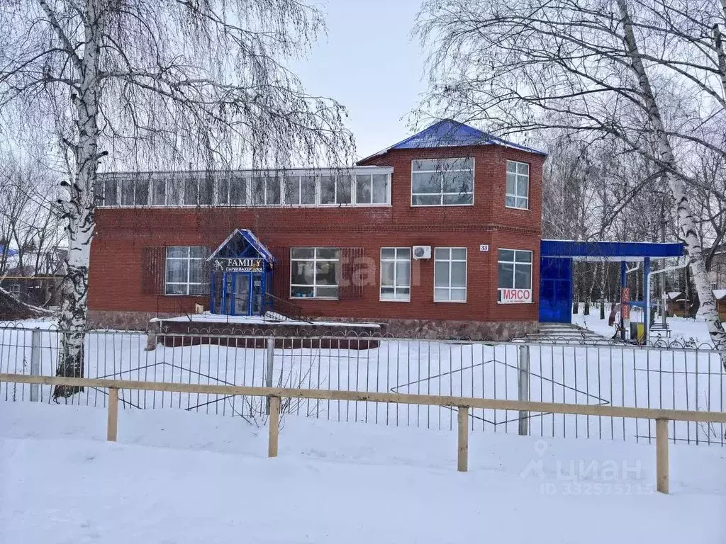 Торговая площадь в Башкортостан, с. Буздяк ул. Красноармейская, 33 ... - Фото 1