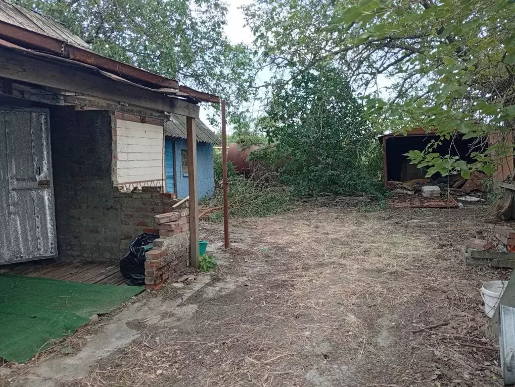 Дом в Ростовская область, Неклиновский район, Новобессергеневское ... - Фото 0