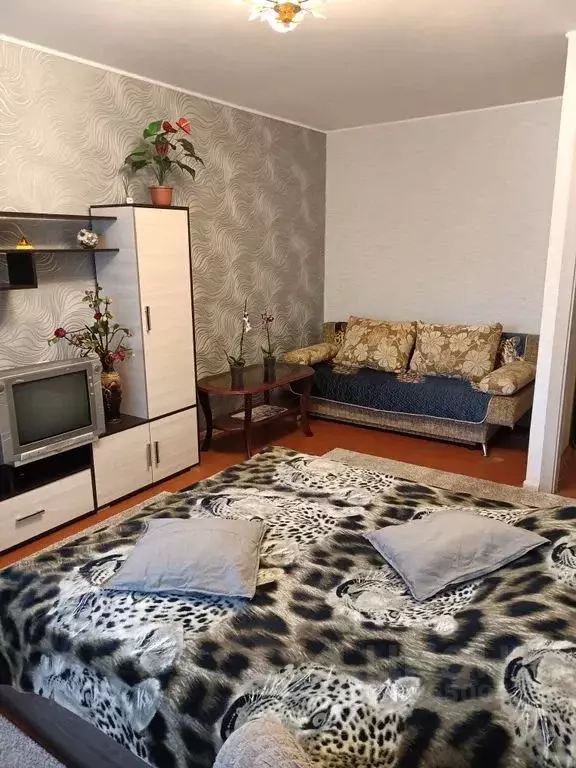 1-к кв. Ивановская область, Кинешма ул. Гагарина, 12 (35.0 м) - Фото 1