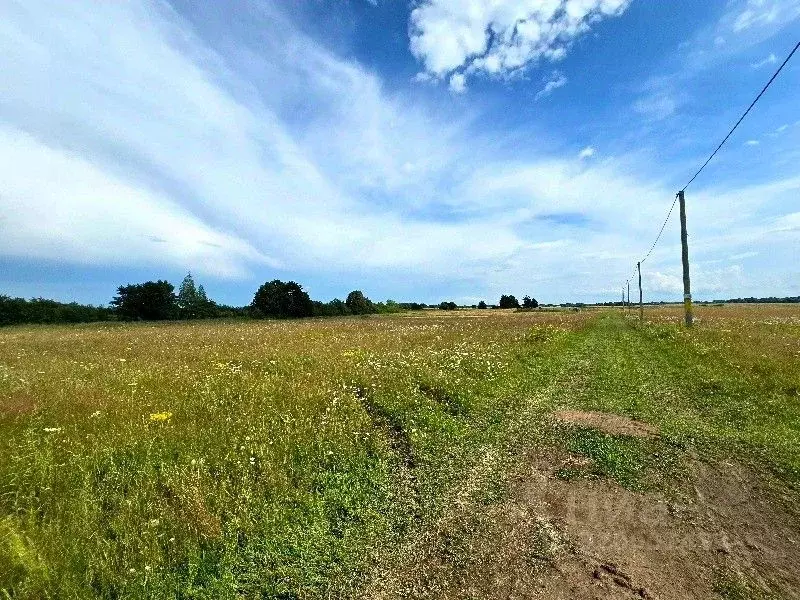 Участок в Калининградская область, Гурьевский муниципальный округ, ... - Фото 2