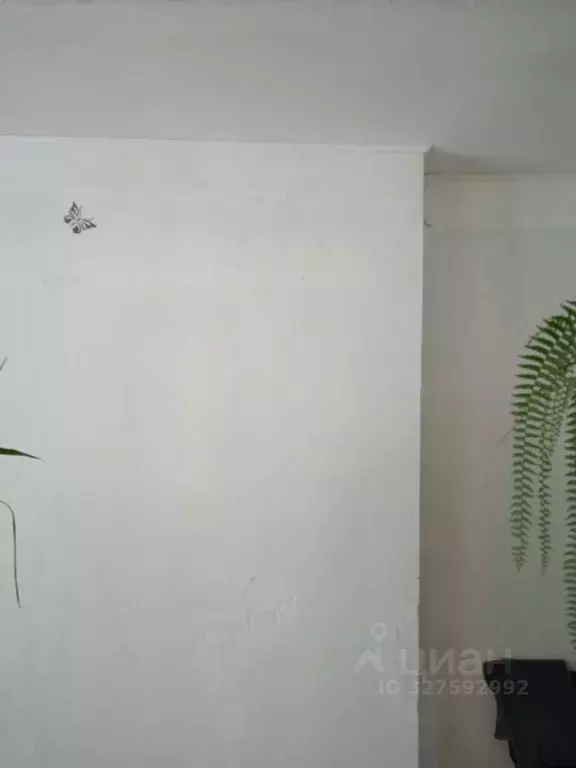 Помещение свободного назначения в Кировская область, Уни пгт ул. ... - Фото 2