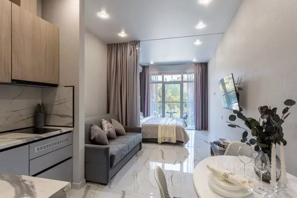 Студия Краснодарский край, Сочи городской округ, Дагомыс пгт ш. ... - Фото 2