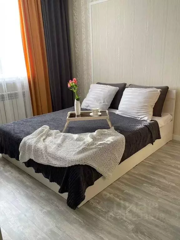 1-к кв. Пензенская область, Пензенский район, Засечный сельсовет, с. ... - Фото 1