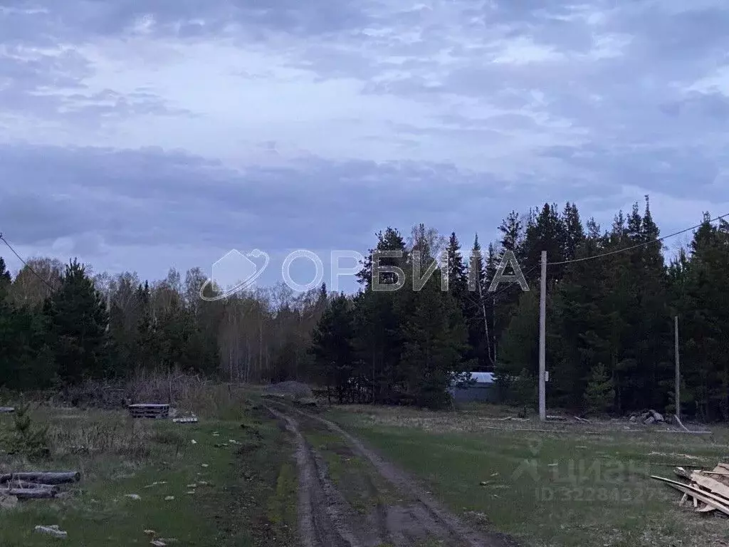 Участок в Свердловская область, Тугулым пгт пл. 50-летия Октября (13.0 ... - Фото 2