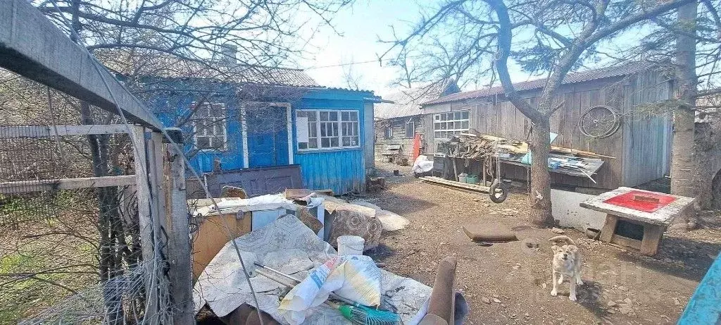 Участок в Приморский край, Партизанский муниципальный округ, с. ... - Фото 0