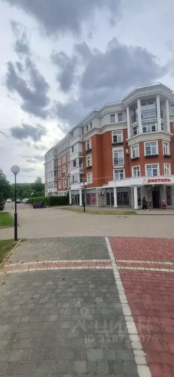 Помещение свободного назначения в Московская область, Ленинский ... - Фото 1
