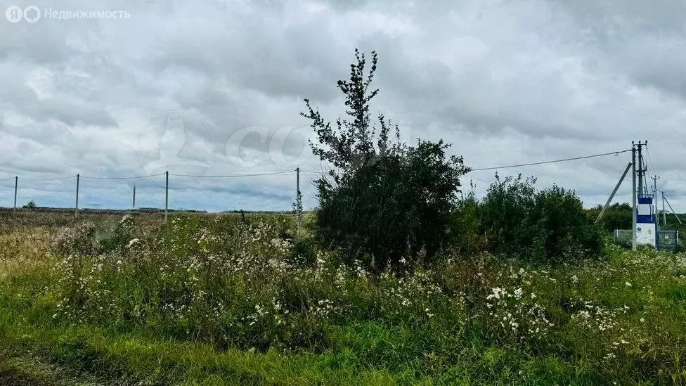 Участок в Тюменский район, деревня Елань (9 м) - Фото 0