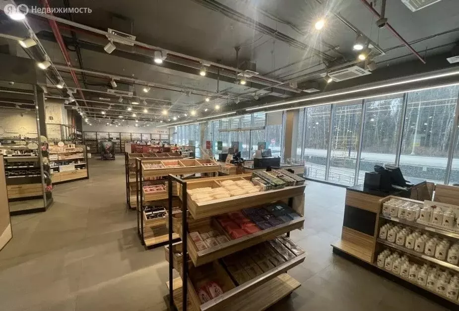 Помещение свободного назначения (540 м) - Фото 1