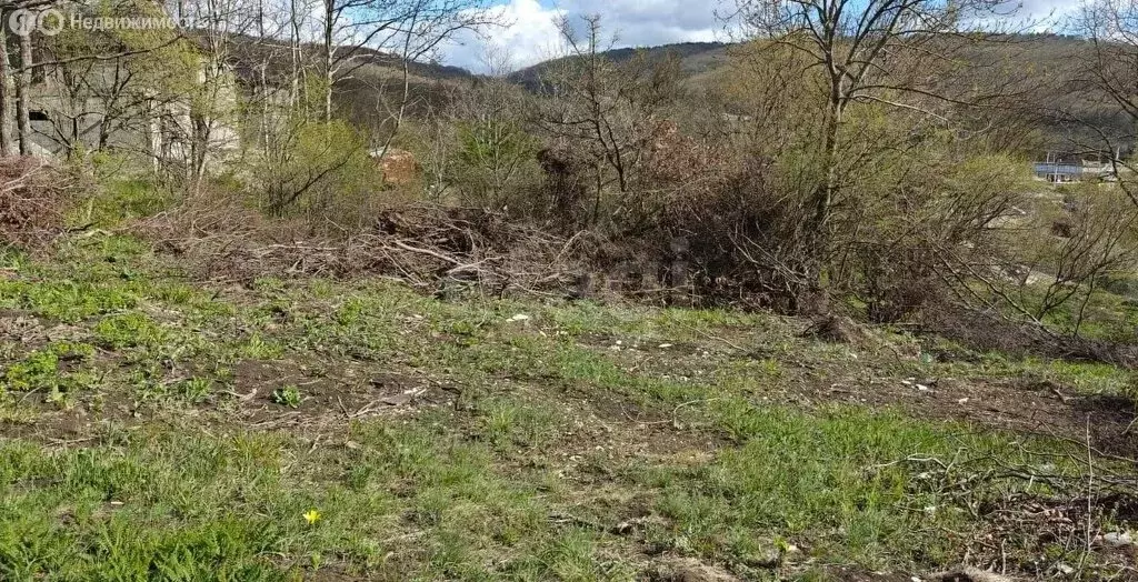 Участок в Краснодарский край, городской округ Новороссийск, хутор ... - Фото 2
