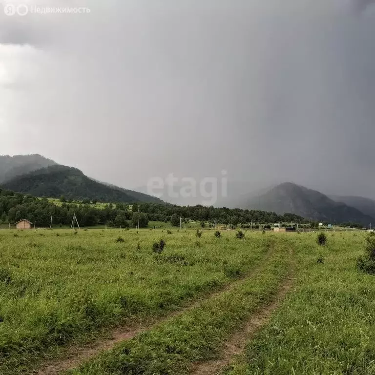 Участок в Чемальский район, село Анос (11 м) - Фото 0