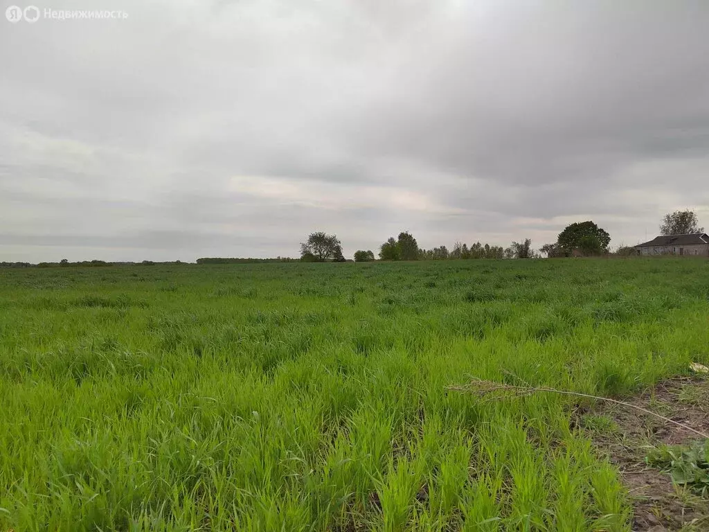 Участок в село Воейково, Садовая улица, 3 (31 м) - Фото 0