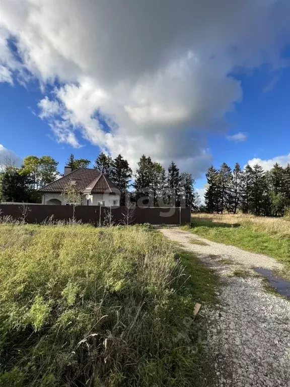 Участок в Калининградская область, Светлогорск Садовая ул. (7.0 сот.) - Фото 2