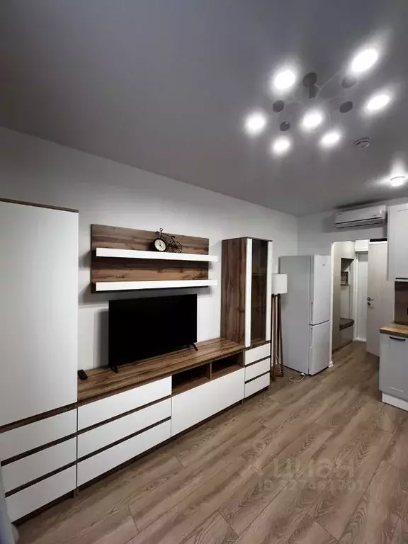 Студия Москва ул. Трехполье, 6к1 (24.0 м) - Фото 2