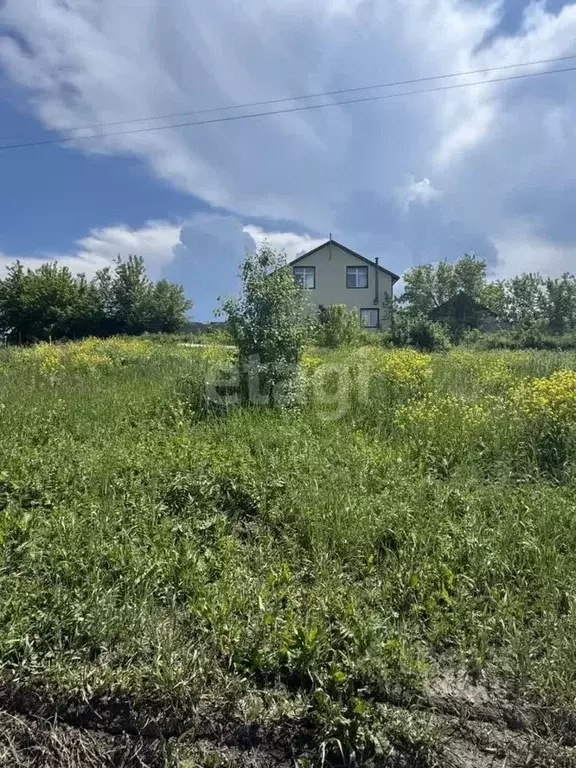 Участок в Алтайский край, Белокуриха ул. Академика Мясникова, 23 (10.0 ... - Фото 0