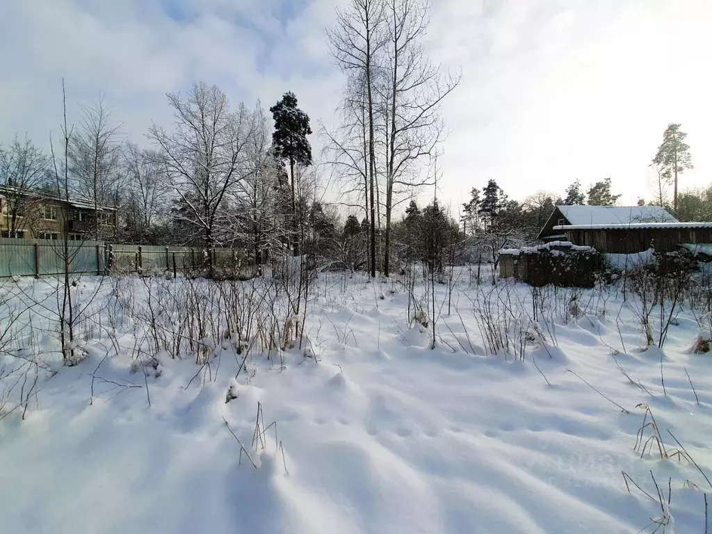 Участок в Ленинградская область, Гатчинский район, Вырица городской ... - Фото 1