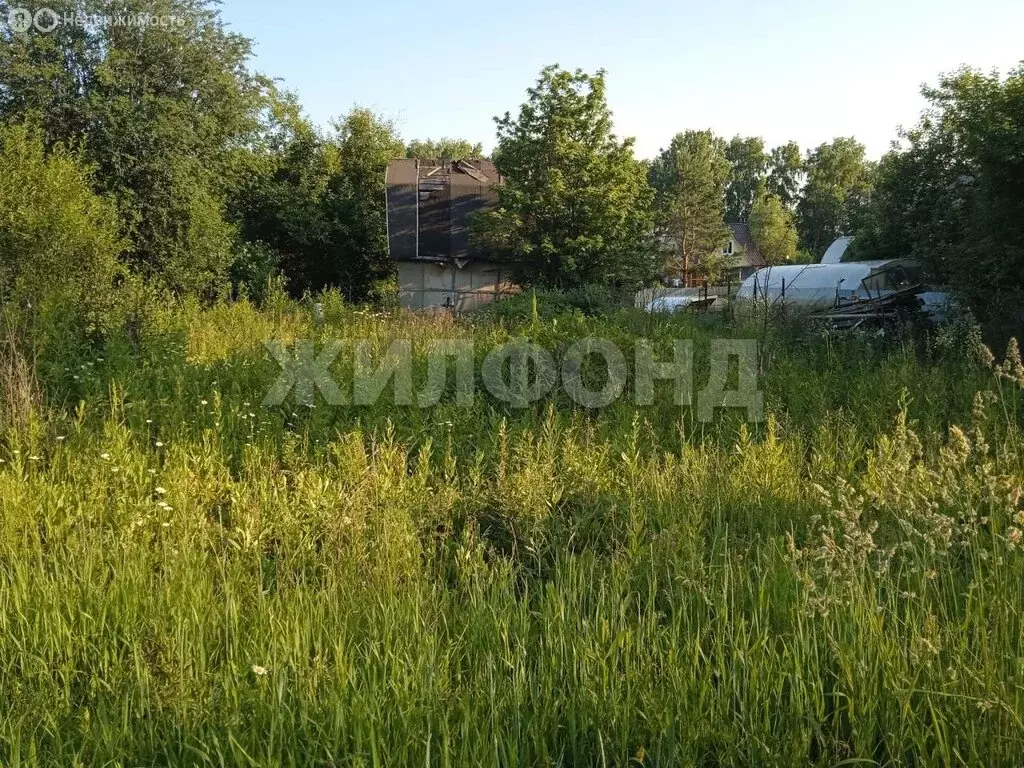 Участок в Раздольненский сельсовет, садовое товарищество Ант (6.51 м) - Фото 0