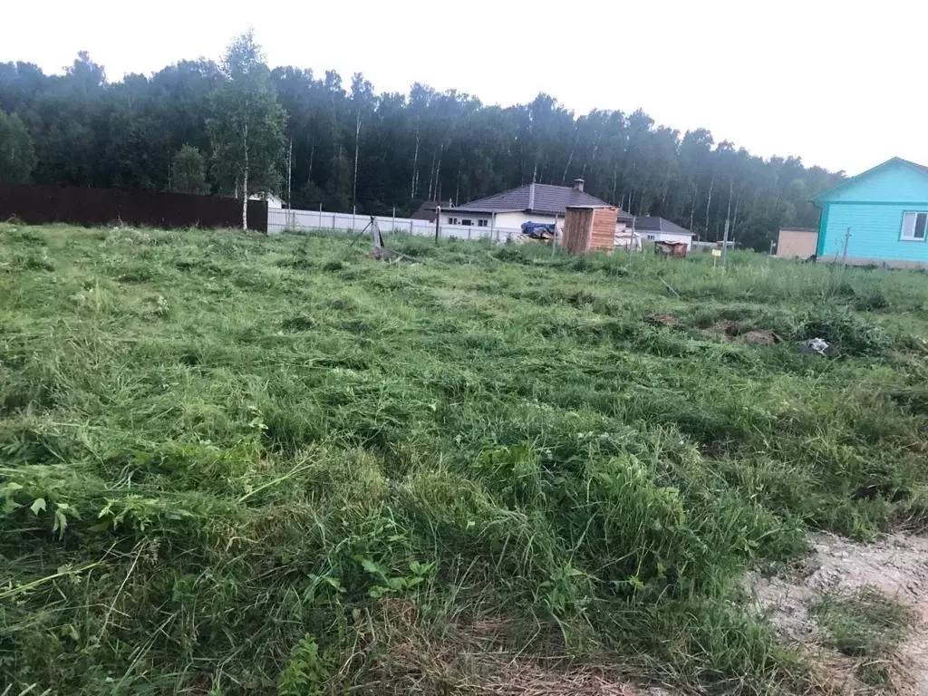 Участок в Московская область, Раменский муниципальный округ, с. ... - Фото 2