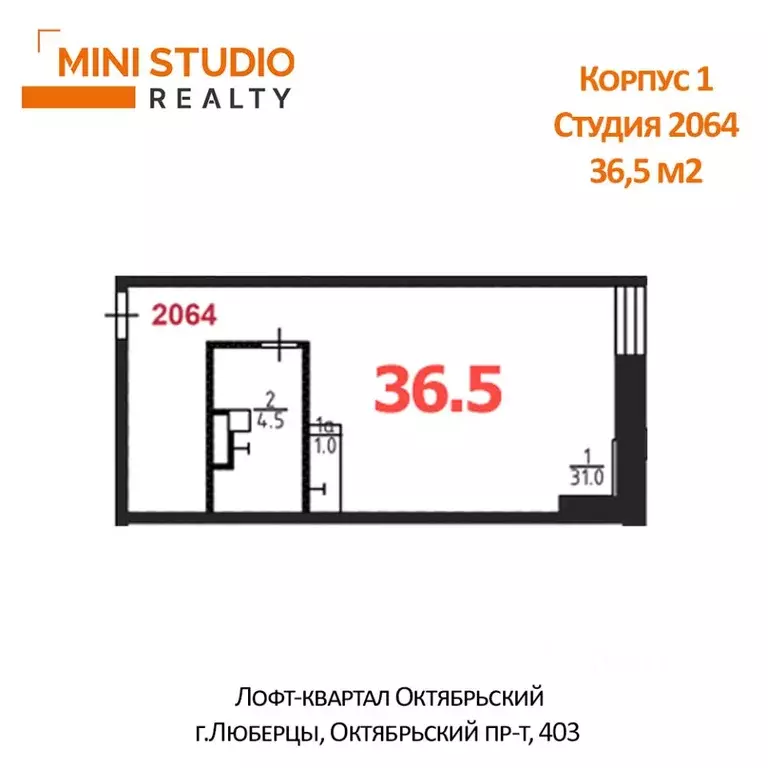 Студия Московская область, Люберцы Октябрьский просп., 403 (36.5 м) - Фото 2