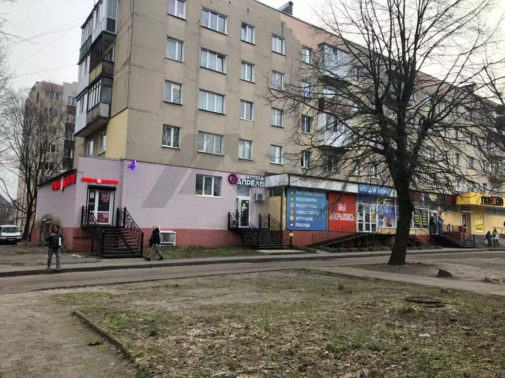 Помещение свободного назначения в Калининградская область, Калининград ... - Фото 1