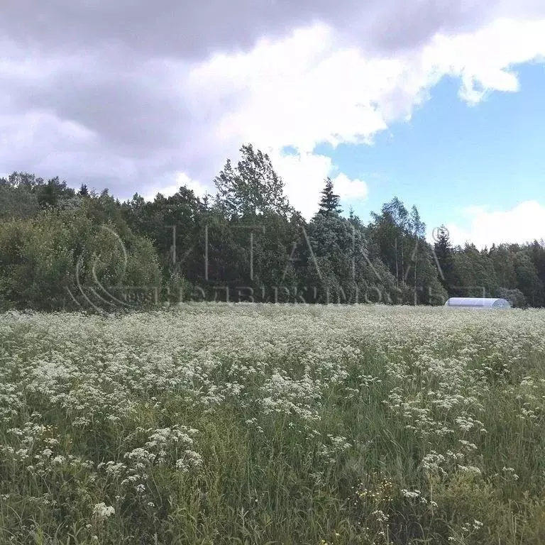 Участок в Ленинградская область, Выборгский район, Селезневское с/пос, ... - Фото 1