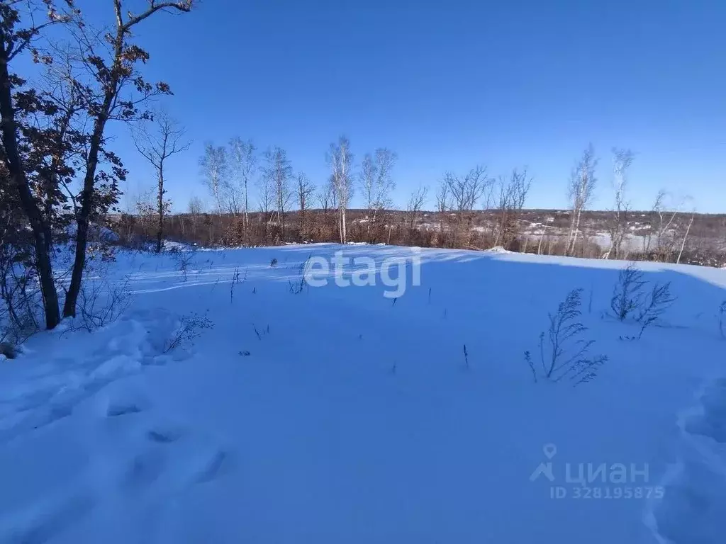 Участок в Амурская область, Благовещенский район, с. Чигири  (7.3 ... - Фото 1