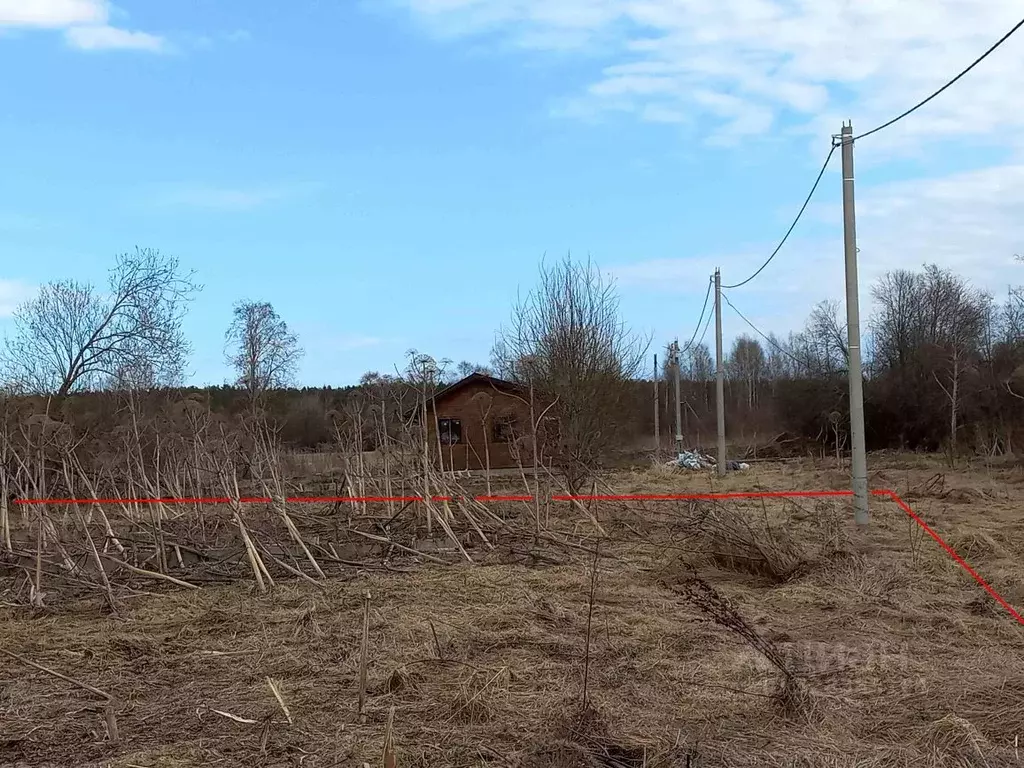 Участок в Ленинградская область, Приозерский район, Ларионовское ... - Фото 2