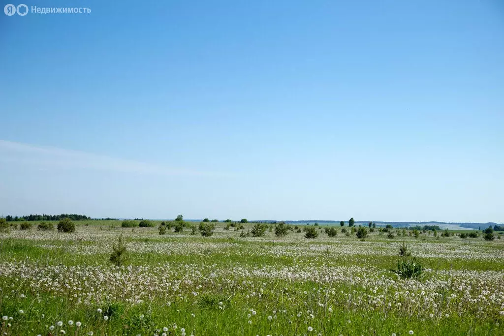 Участок в деревня Пирогово, Восточный проезд, 1 (10 м) - Фото 2