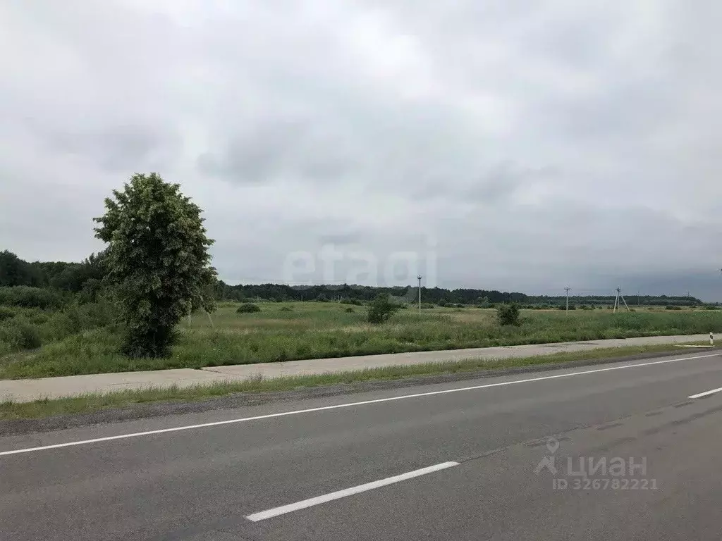 Участок в Калининградская область, Гурьевский муниципальный округ, ... - Фото 1