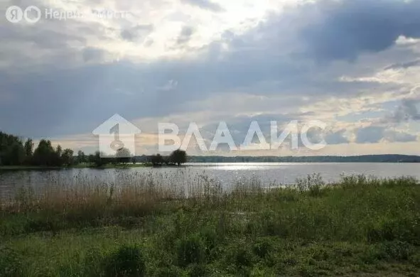 Участок в Вологодская область, Кирилловский муниципальный округ, ... - Фото 1
