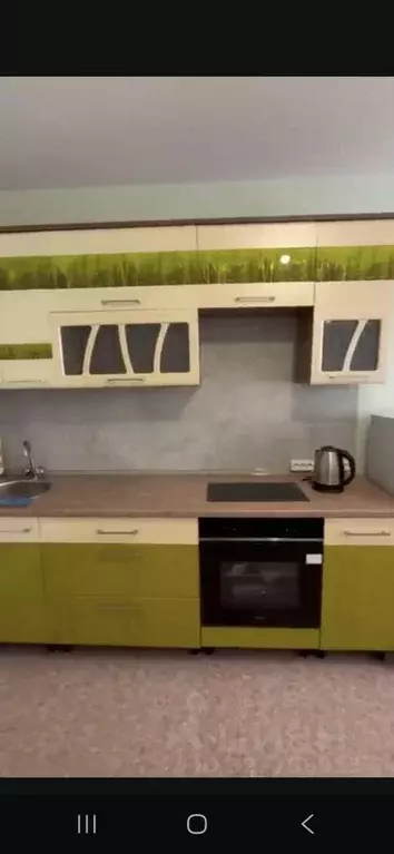 2-к кв. Алтайский край, Барнаул проезд Южный Власихинский, 28А (66.0 ... - Фото 1